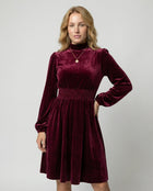 Solene Velvet Mini Dress