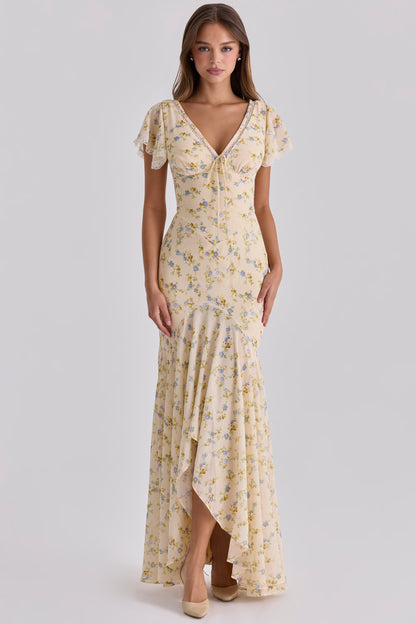 CELINE MAXI DRESS