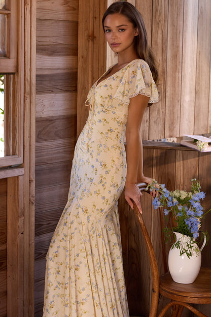 CELINE MAXI DRESS
