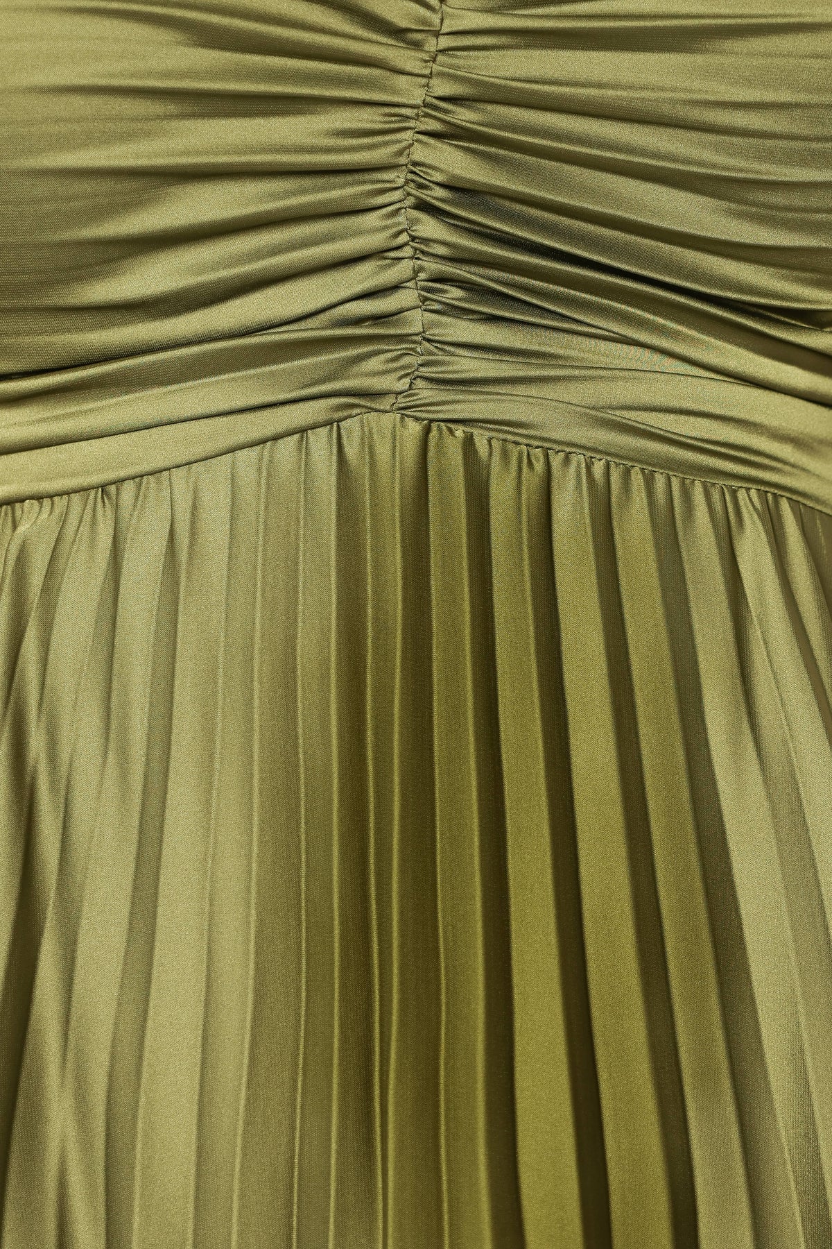 Palm Green